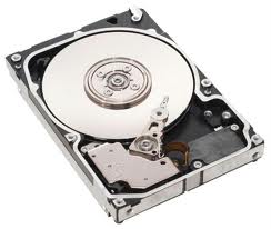 Any capacity of SCSI/U320/68 or 80 Pins/10K or 15K RPM Hard disks